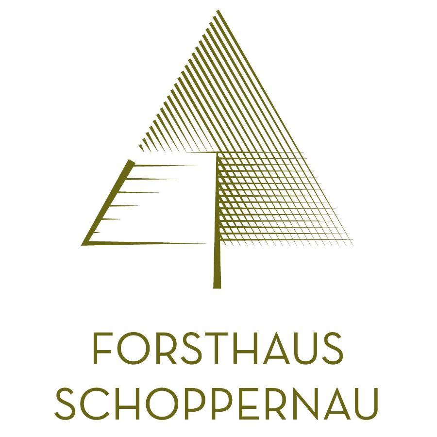 Forsthaus Schoppernau Hotel Exterior foto
